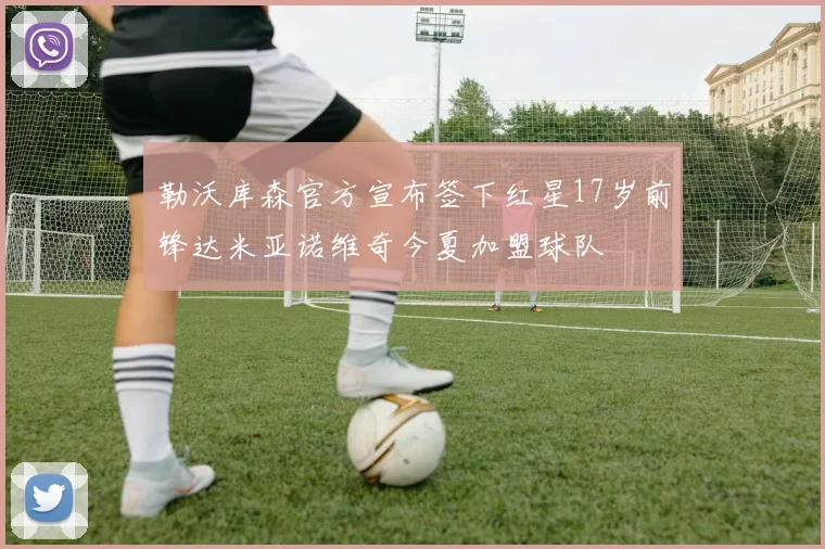 勒沃库森官方宣布签下红星17岁前锋达米亚诺维奇今夏加盟球队