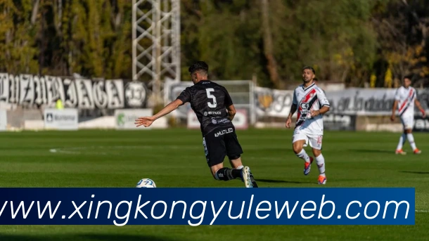 星空娱乐平台生态图