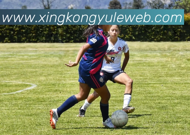 星空娱乐APP 封面图